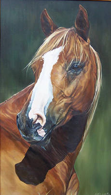 'Levi' Oil on Board. See COMMISSIONS page